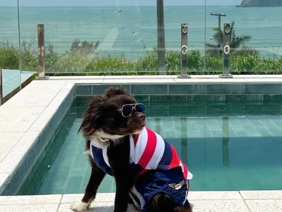 Cachorro na piscina com vista para o mar