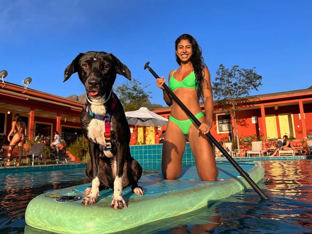 Cachorro em cima de uma prancha de stand up na piscina